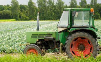 A pályázatírás egy igen összetett szakma