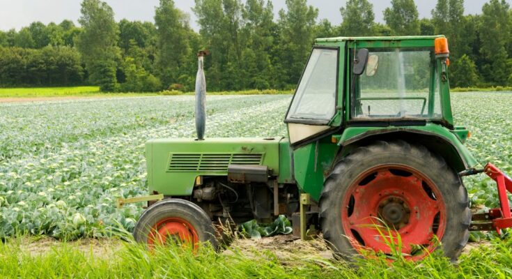 A pályázatírás egy igen összetett szakma