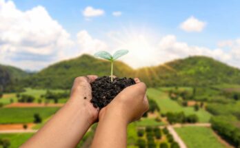 A fenntartható mezőgazdaság jövője