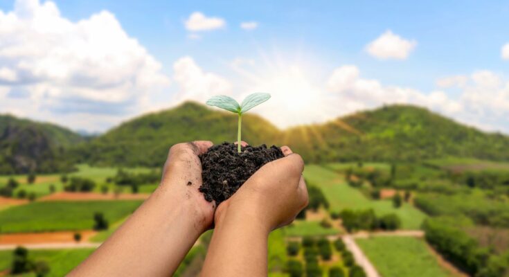 A fenntartható mezőgazdaság jövője