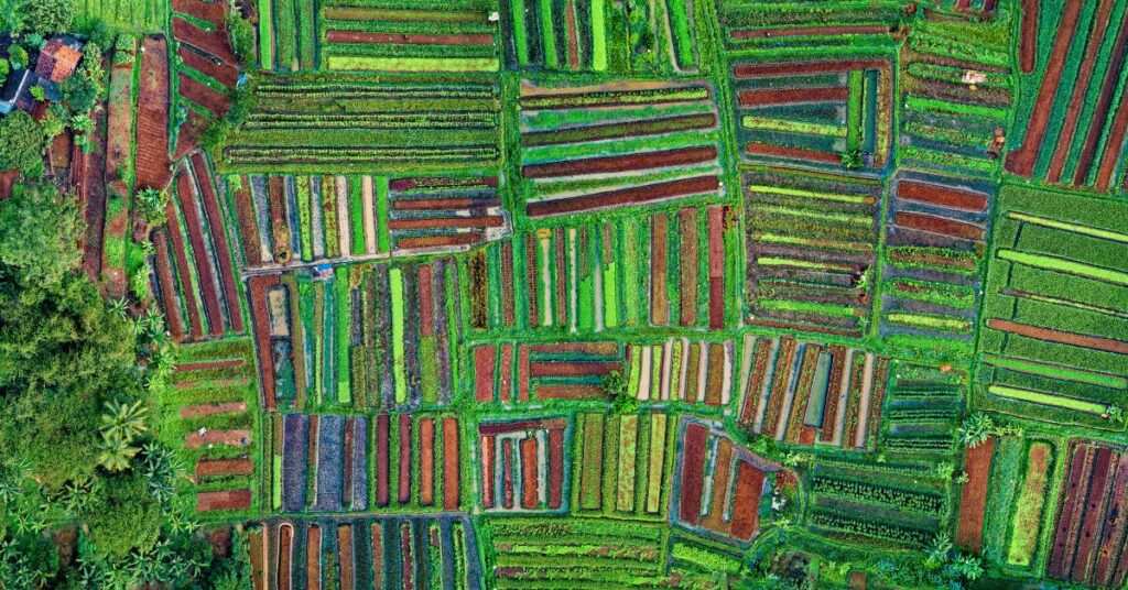 A fenntartható mezőgazdaság fontossága