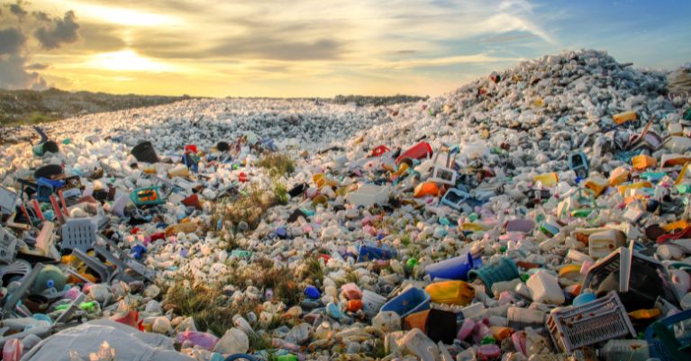 A természeti környezet és az élővilág veszélyeztetése